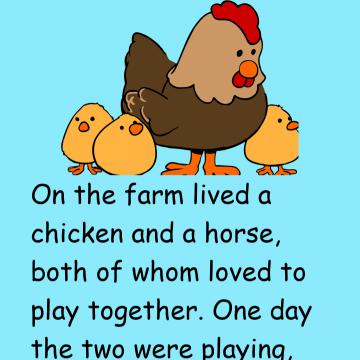 A Chicken And Horse Friendship