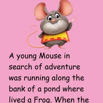 A Frog & A Mouse