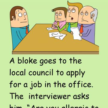 City Council Job