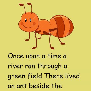 Dove & The Ant