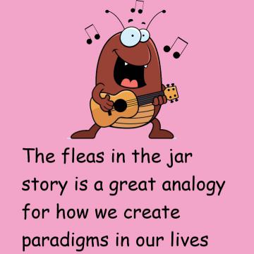 Flea In The Jar Story