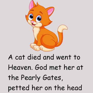 God And Cat