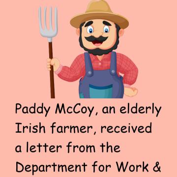 Paddy And The Half-Wit