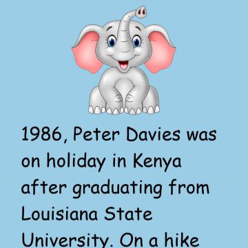 Peter Davies And Elephant