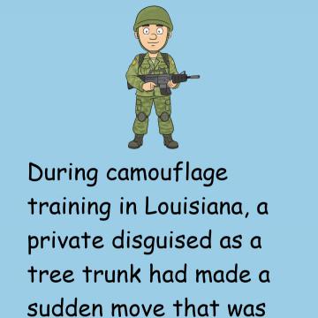 Soldier's Camouflage Training