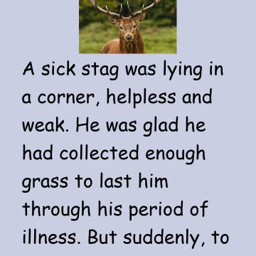 The Ailing Deer Story