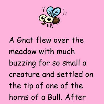 The Bull & The Gnat