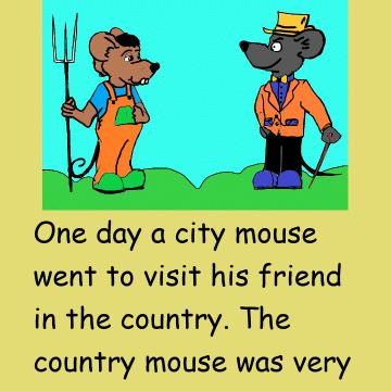 The City Mouse & The Country Mouse