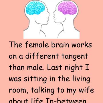 The Difference In The Female Brain!