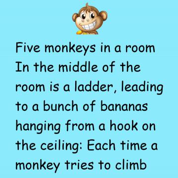 The Five Monkeys Experiment And Life Lesson