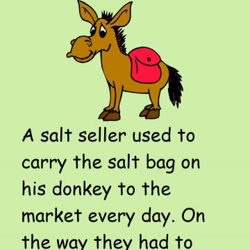 The Foolish Donkey Story