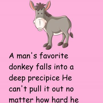 What Can We Learn From The Donkey?
